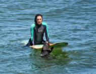 Відео: у Каліфорнії морська видра відбирає у туристів дошки для серфінгу і плаває на них
