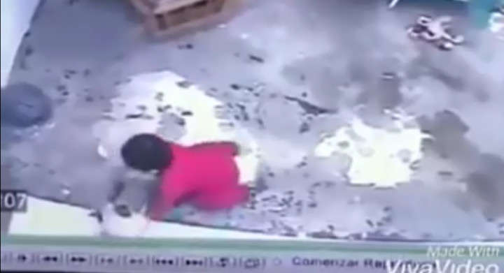 Кіт врятував дитину, не давши їй впасти зі сходів (відео) Кіт врятував дитину, не давши їй впасти зі сходів (відео)