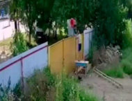 «Зухвала» крадіжка садової тачки розсмішила мережу (відео)