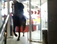У Киргизстані п’яний чоловік заїхав на коні до супермаркету (відео)