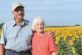 Чоловік подарував дружині на 50-річчя шлюбу понад мільйон соняшників – фото