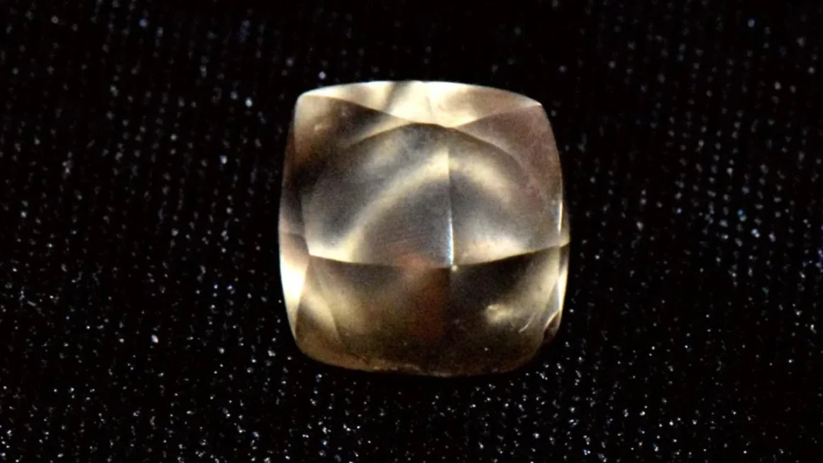 В США 7-річна дитина знайшла діамант вагою 2,95 карата під час прогулянки в парку