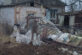 На Нікопольщині через ворожі удари пошкоджені будинки та господарські споруди