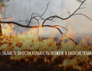 Понад 800 пожеж з початку року: на Дніпропетровщині почастішали випадки займань в екосистемах 