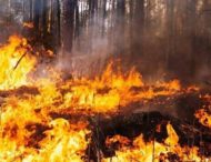Понад 900 пожеж в екосистемах з початку літа зафіксували на Дніпропетровщині